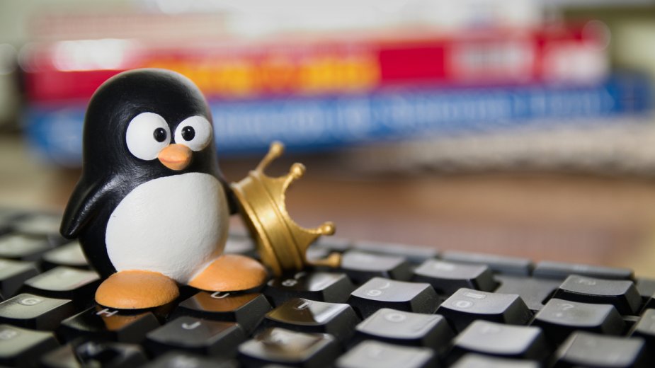 AMD szykuje ogromną ofertę procesorów Zen 6. Linux już wie o 32 nowych modelach