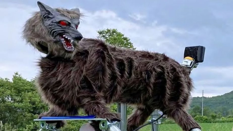 Ataki niedźwiedzi wymknęły się spod kontroli. Japonia odpowiada robotem Monster Wolf