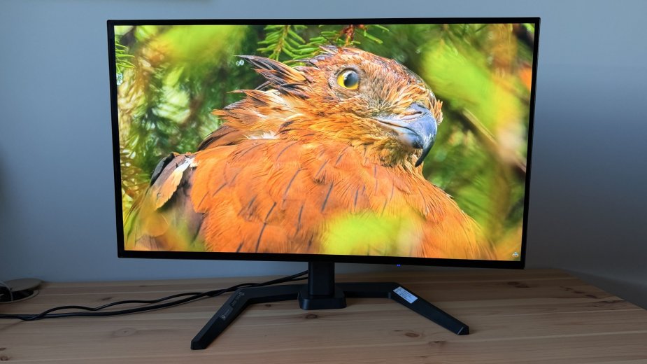 Test iiyama G-Master GOB2701QSC-B1 Titan Falcon. Tak, iiyama robi OLED-y