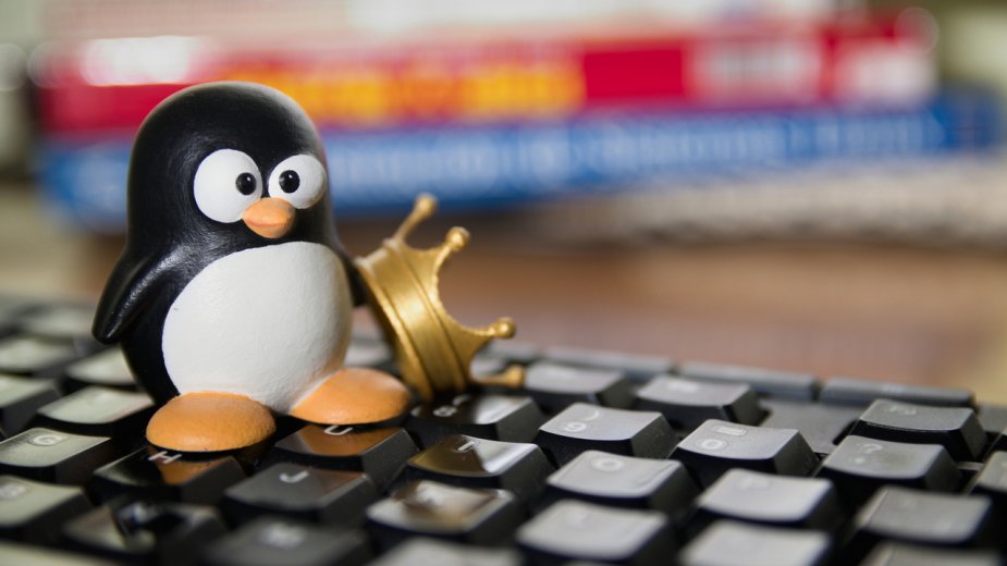 Jay przechodzi testy Vulkan na Xe2 i Xe3. Intel robi duży krok