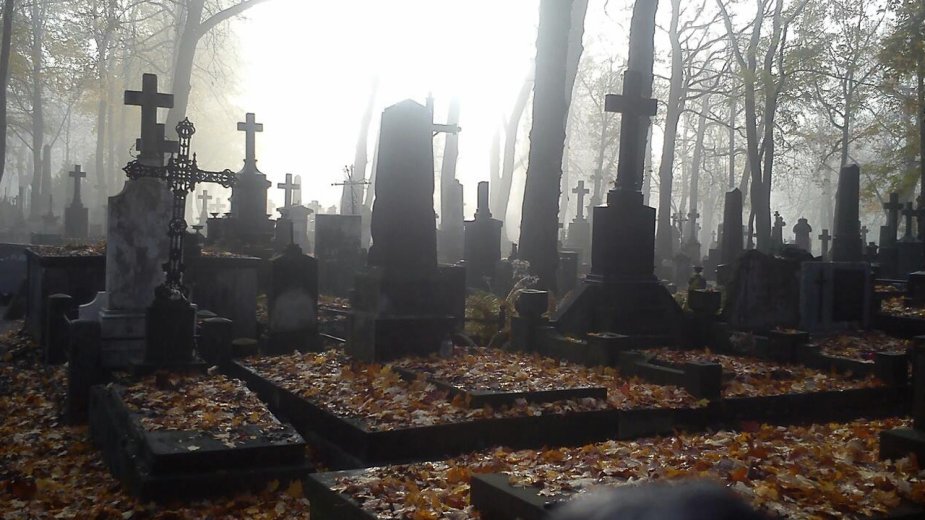 Nie wiesz, gdzie jest grób bliskiej osoby? Wystarczy wpisać nazwisko