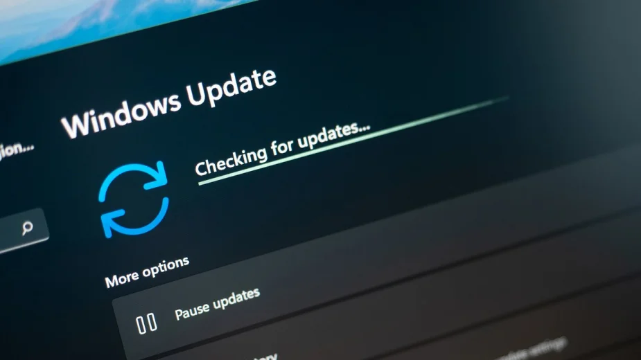 Windows 11