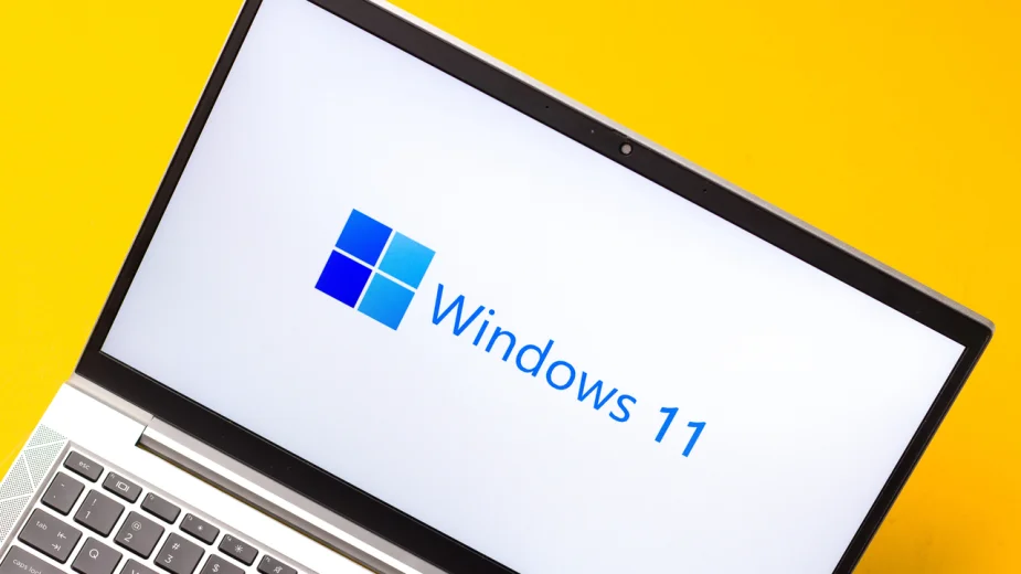 Windows 11