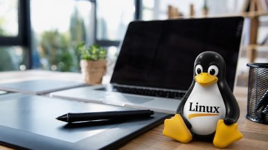AI znalazło tysiące luk w Linuksie. Twórcy systemu nie nadążają z ich obsługą