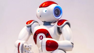 Chińskie roboty wyglądają identycznie i nikt ich nie kupuje. Zapełnią złomowiska