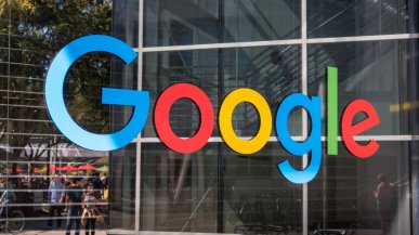 Google buduje przyszłość. Wycięto lasy, a do wsi zaczęły przychodzić wilki
