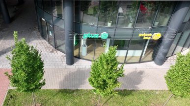 Jeszcze więcej świątecznych okazji na smartfony w Plusie