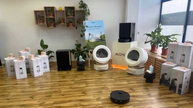 Joga z jamnikami i robot sprzątający - MOVA pokazała, jak wygląda życie bez domowych obowiązków