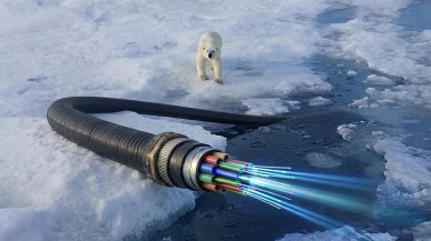 Kabel podmorski pod biegunem północnym. Europa szuka bezpiecznej trasy dla Internetu