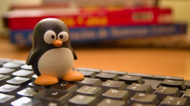Linus Torvalds wydał nową wersję Linux. Tym razem wszystko idzie gładko