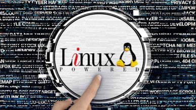 Linux przekroczył 10 proc. udziału w Ameryce Północnej. Tak dobrego wyniku jeszcze nie było