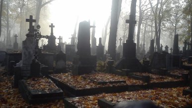 Nie wiesz, gdzie jest grób bliskiej osoby? Wystarczy wpisać nazwisko