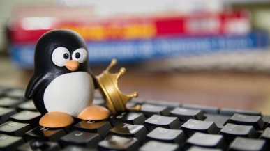 Valve chce przenieść linuksowy sterownik Radeon na Windows. RADV już uruchamia Counter Strike 2