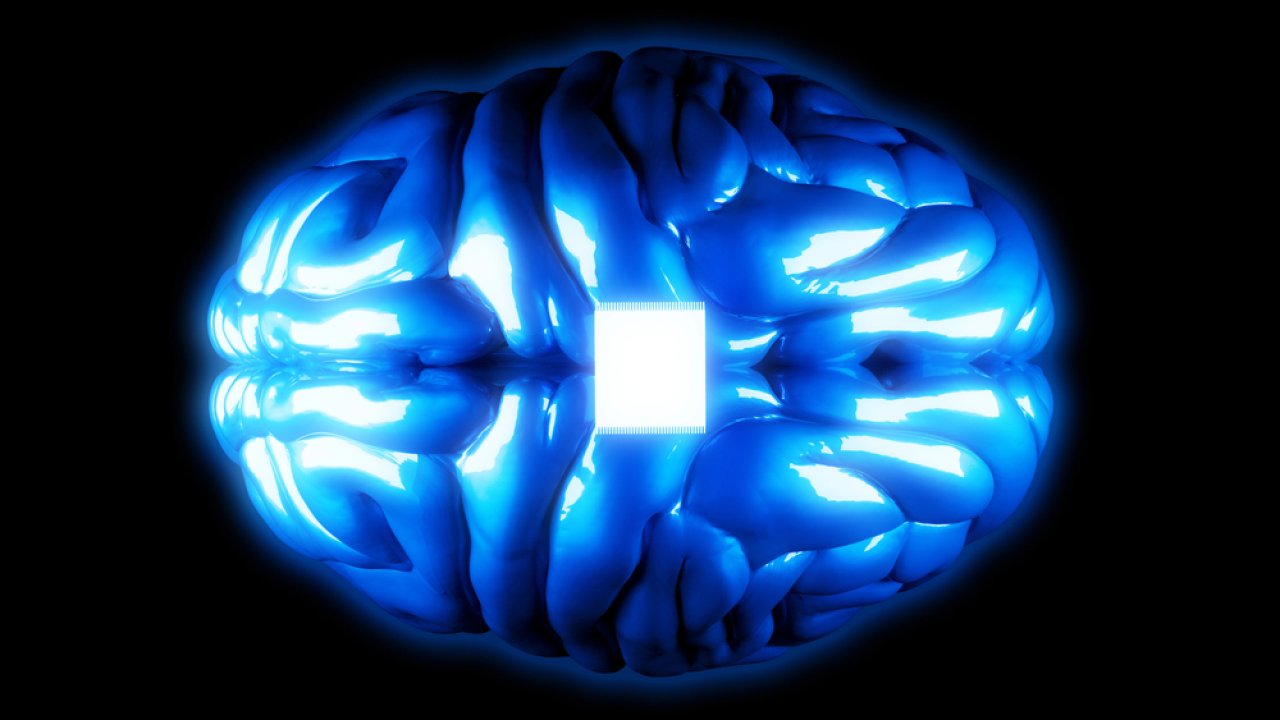 Chipy w ich mózgach działały przez łącznie 2000 dni. Neuralink Elona Muska z dużym sukcesem