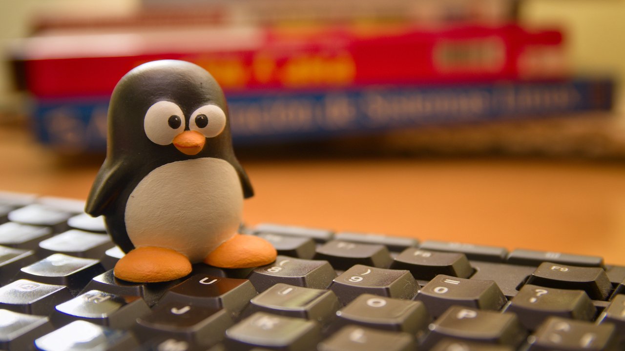 Linus Torvalds wydał nową wersję Linux. Tym razem wszystko idzie gładko