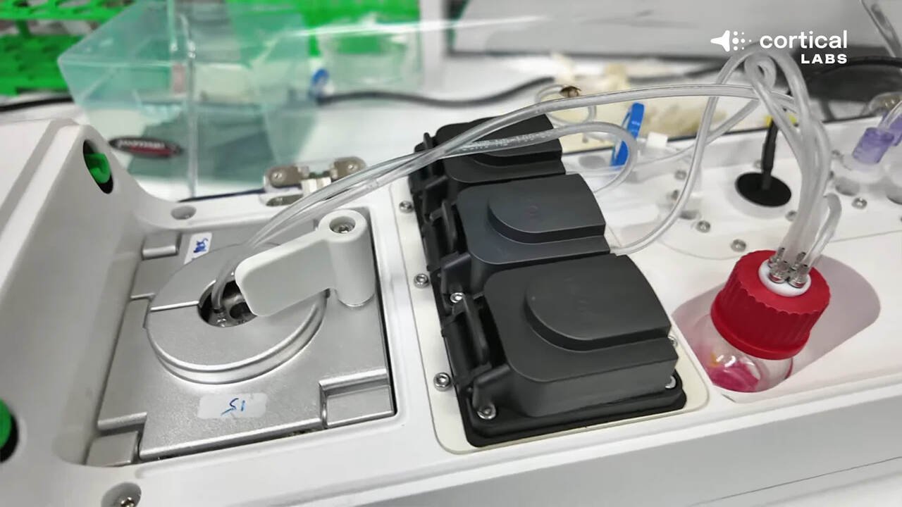 Komputer z żywych neuronów uruchomił Dooma. Nowy projekt z Australii