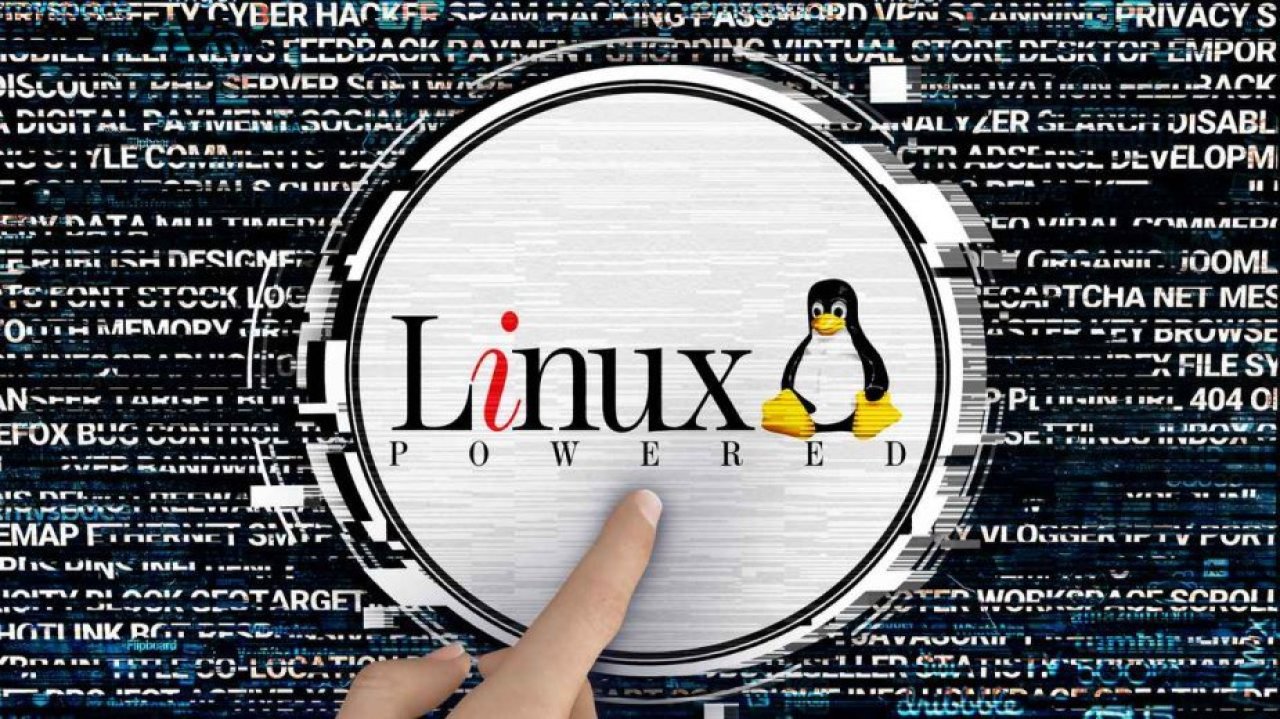 Linux zbiera dane osobowe? Kontrowersyjna aktualizacja dzieli świat open source