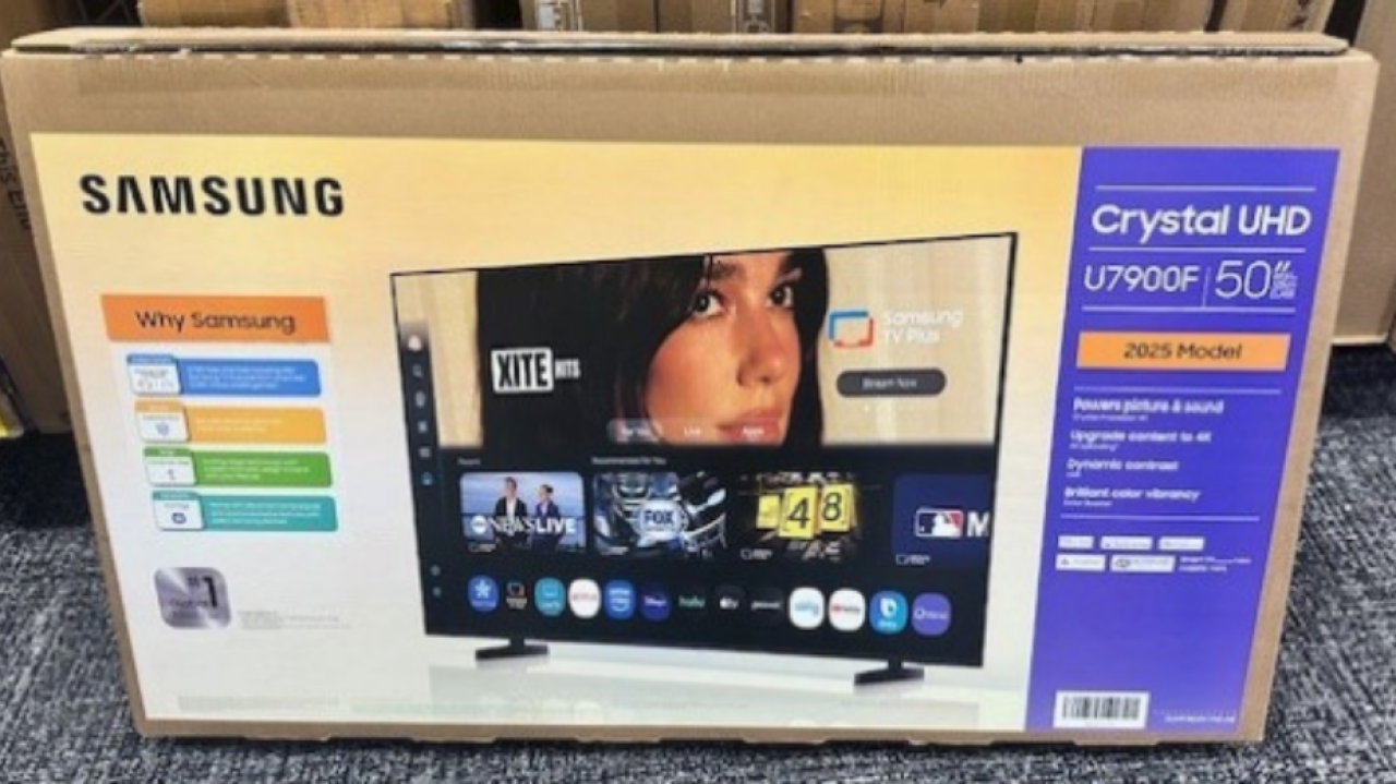Dua Lipa pozywa Samsunga. Chodzi o pudełka telewizorów