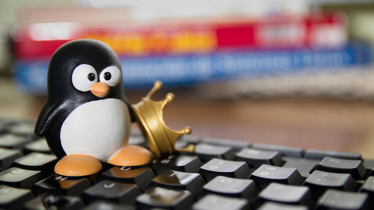 AMD szykuje ogromną ofertę procesorów Zen 6. Linux już wie o 32 nowych modelach