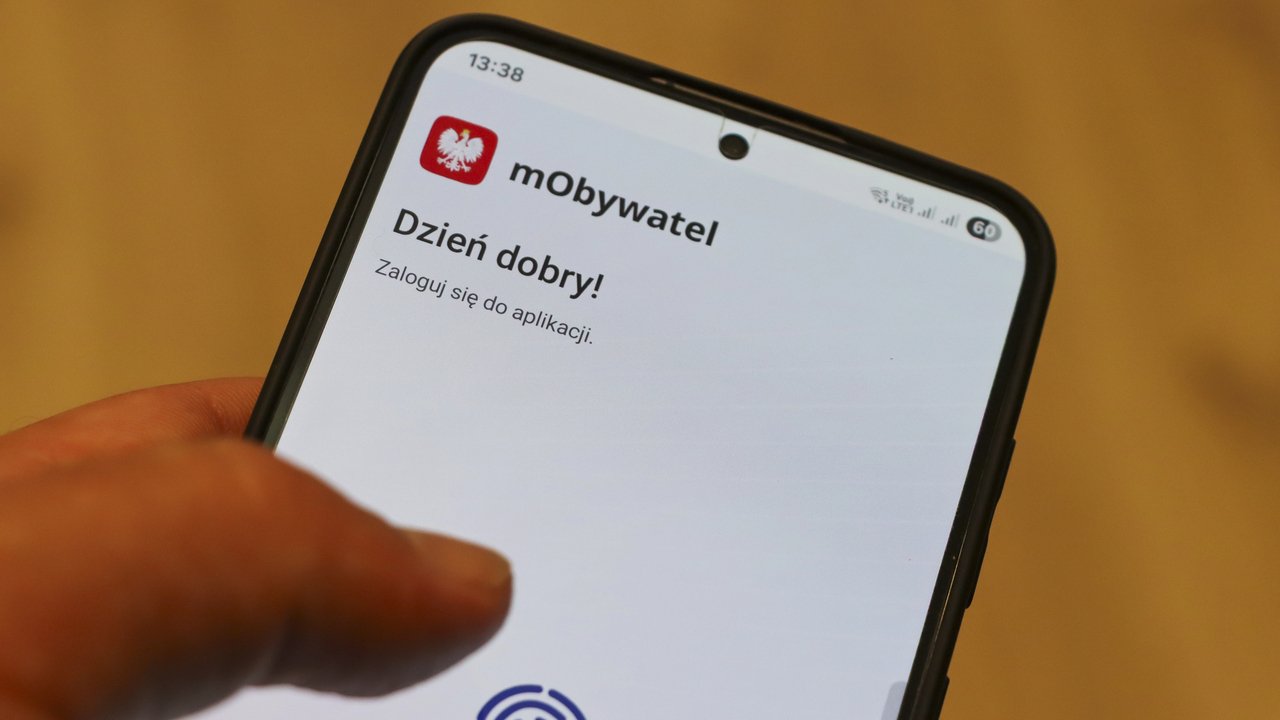 Psy i koty trafią do państwowego rejestru. Nowe przepisy połączą zwierzęta z mObywatelem