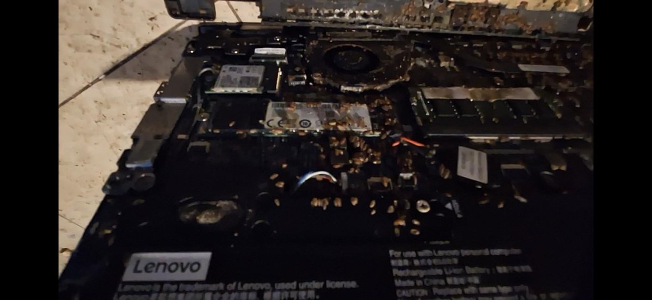 Kupił odnowionego laptopa Lenovo. W środku czekała obrzydliwa niespodzianka