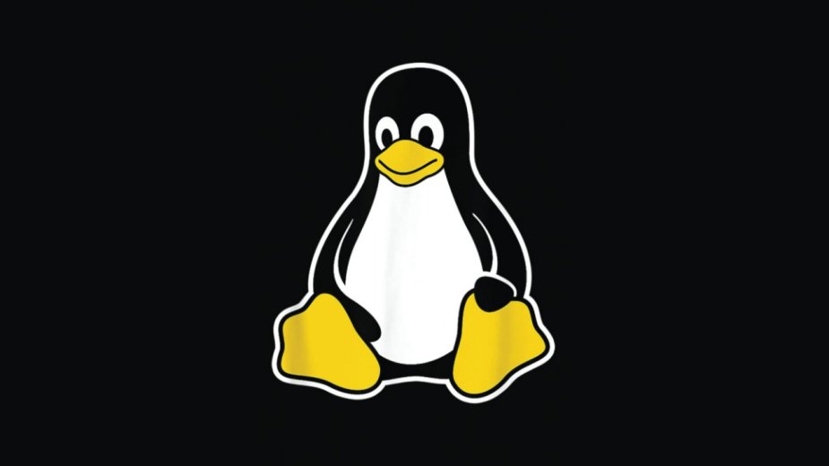 Linus Torvalds kończy maraton. Nowa wersja Linux 6 już za chwilę