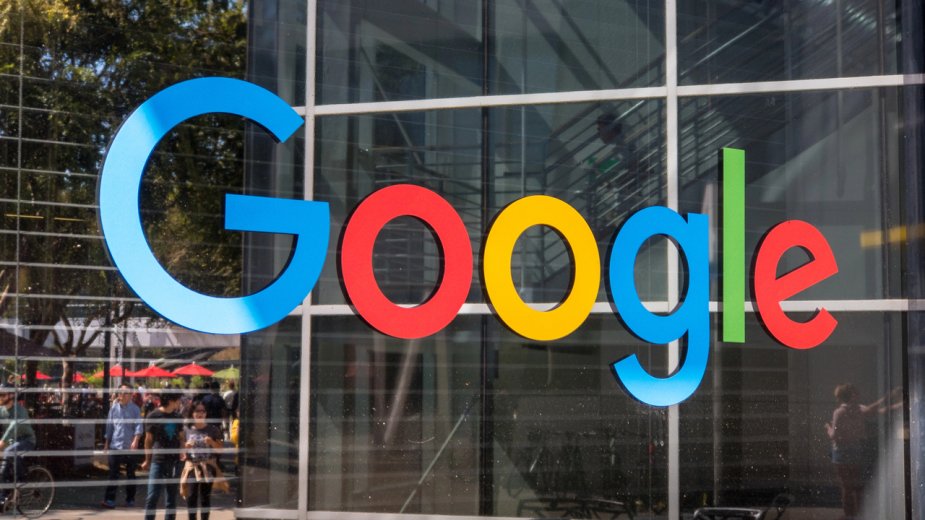 Google buduje przyszłość. Wycięto lasy, a do wsi zaczęły przychodzić wilki