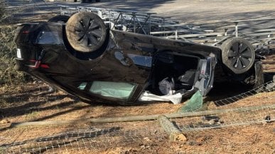 Autopilot Tesli wjechał w drzewo. Kierowca był bezradny