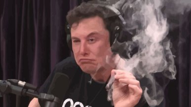 Elon Musk do reklamodawców wycofujących się z X: Idźcie się j***ć