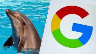 Google uczy się „rozmawiać” z delfinami. AI otwiera drzwi do komunikacji międzygatunkowej
