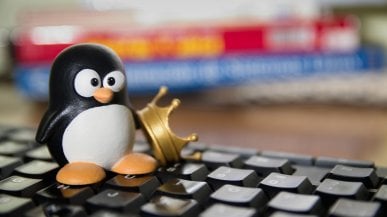 Linus Torvalds nie do końca zadowolony z Linux 6.15. Zauważył negatywny trend