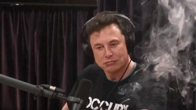 Musk zaprzecza odejściu z rządu USA, a akcje Tesli wciąż spadają. Polityka zagraża jego biznesom?