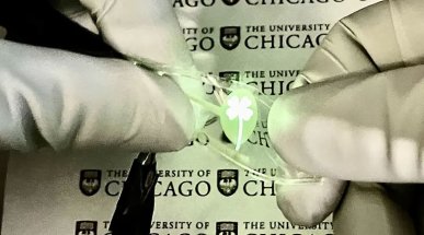 Naukowcy stworzyli ekstremalnie elastyczny OLED. Może dwukrotnie zwiększyć rozmiar po rozciągnięciu