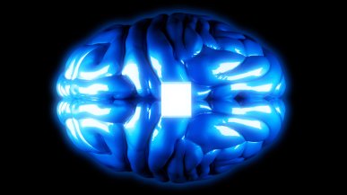 Chipy w ich mózgach działały przez łącznie 2000 dni. Neuralink Elona Muska z dużym sukcesem