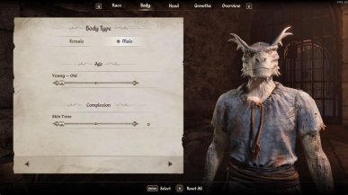 Nexus Mods broni zaimków w grach i braku podziału na płcie. "Nie można się tak zachowywać"