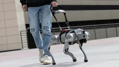 GPT-4 prowadzi niewidomych. Robot-pies z AI robi furorę