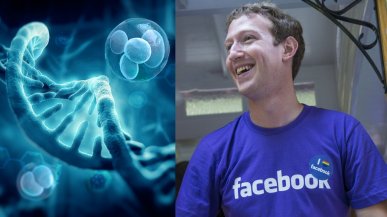 Zuckerberg buduje kosztowny klaster GPU AI do badań medycznych non-profit