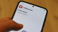 [aktualnosci] Psy i koty trafią do państwowego rejestru. Nowe przepisy połączą zwierzęta z mObywatelem