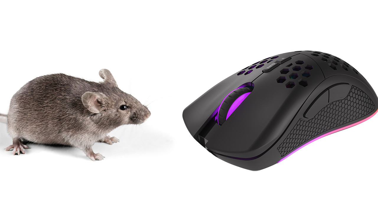 Myszka vs Myszka gamingowa