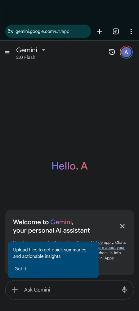 Google Gemini