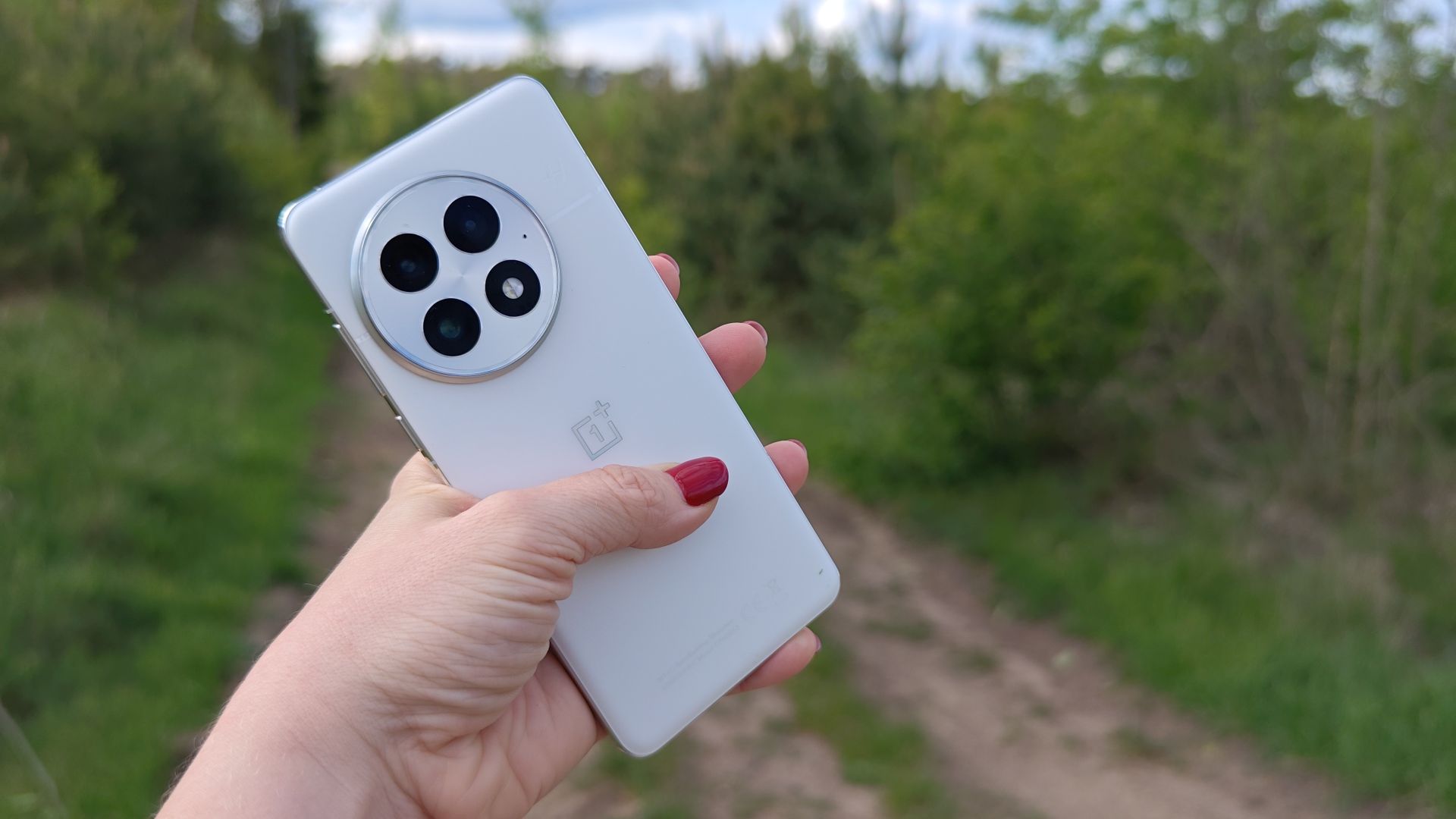 OnePlus 13