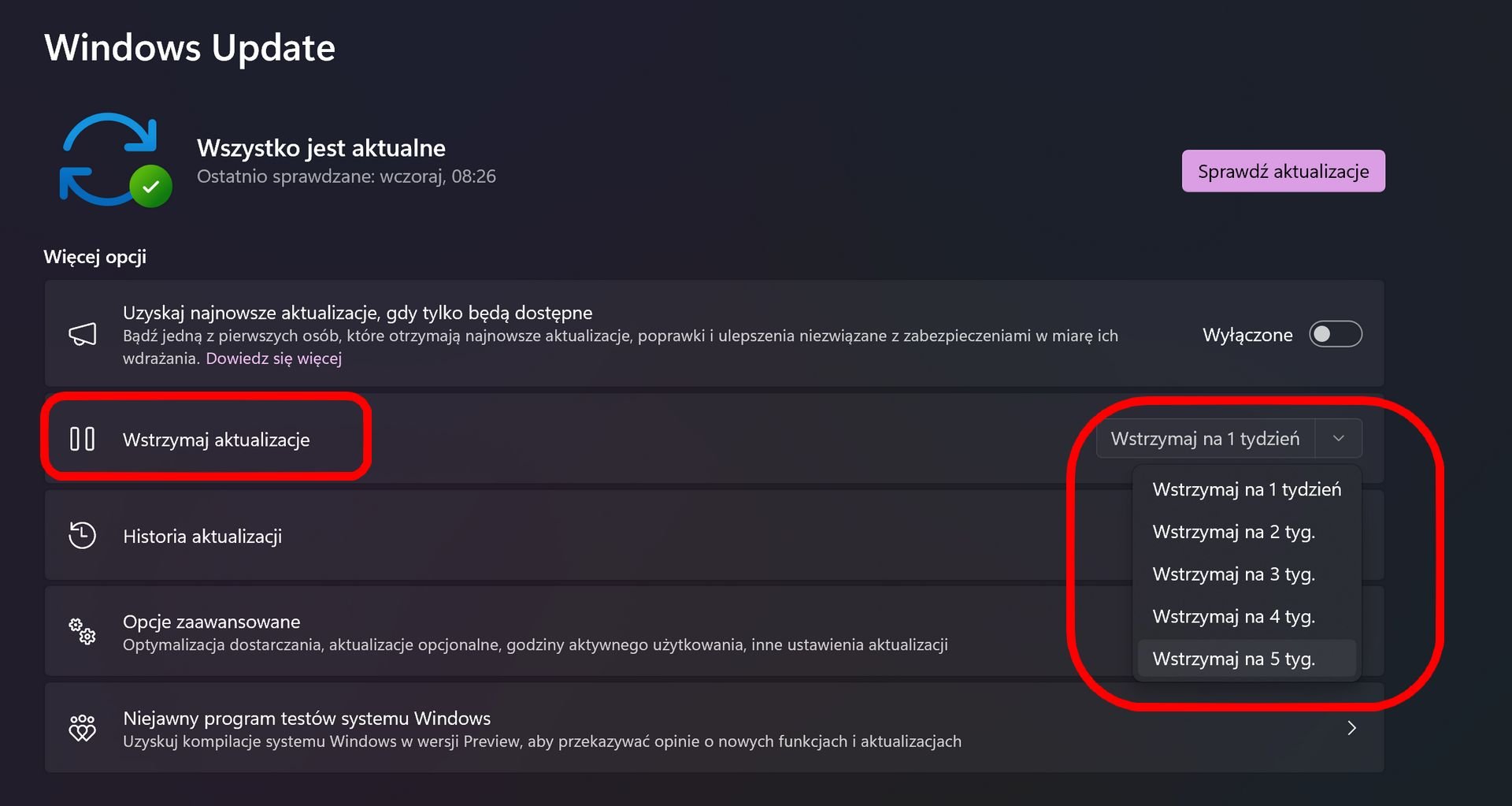 Ustawienia aktualizacji Windows 11