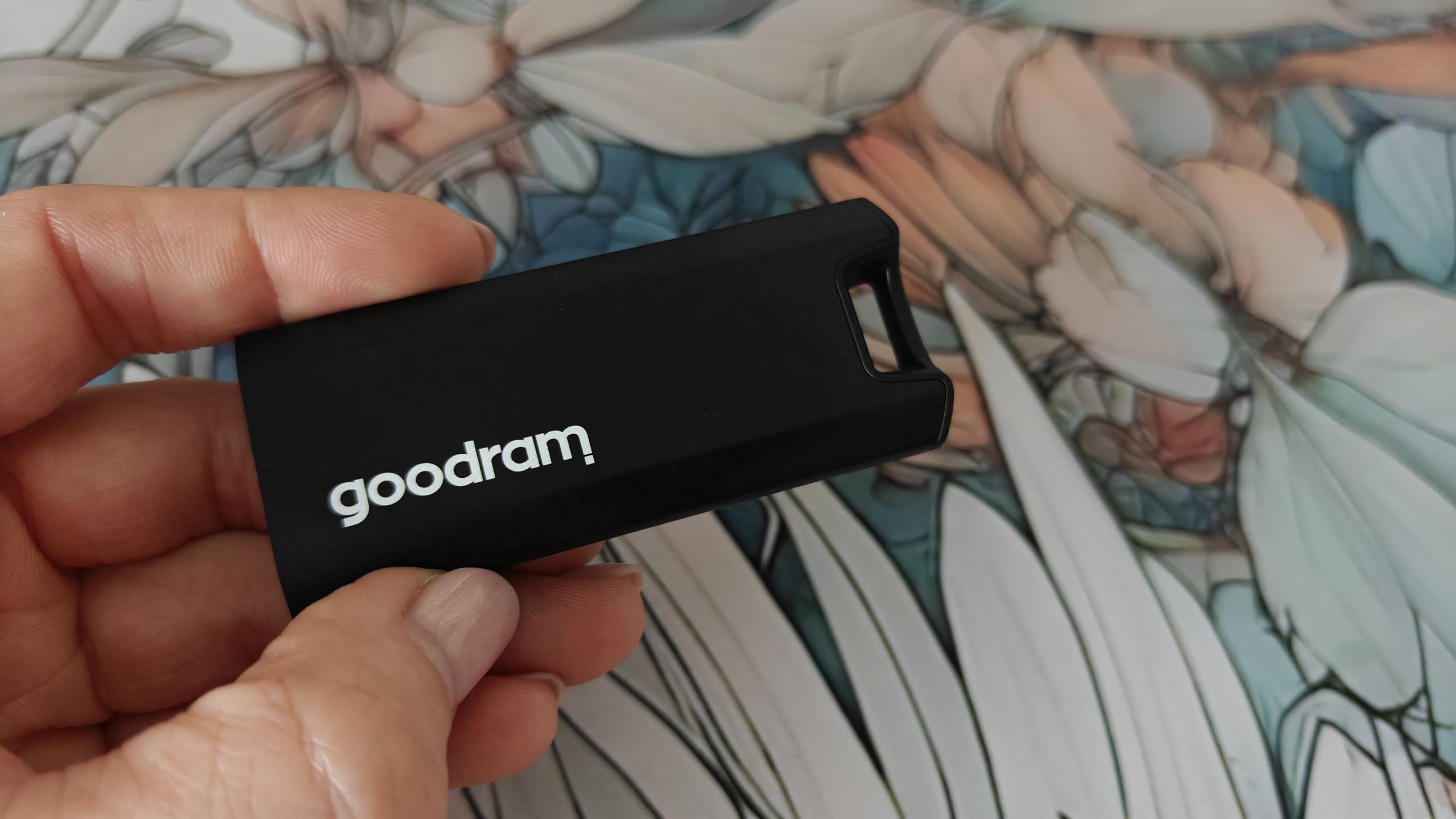 Goodram Move Ridge 2 TB