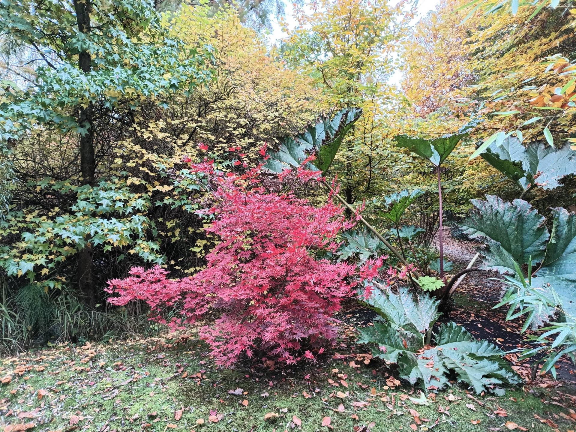 Hammer Energy X2 5G - foto