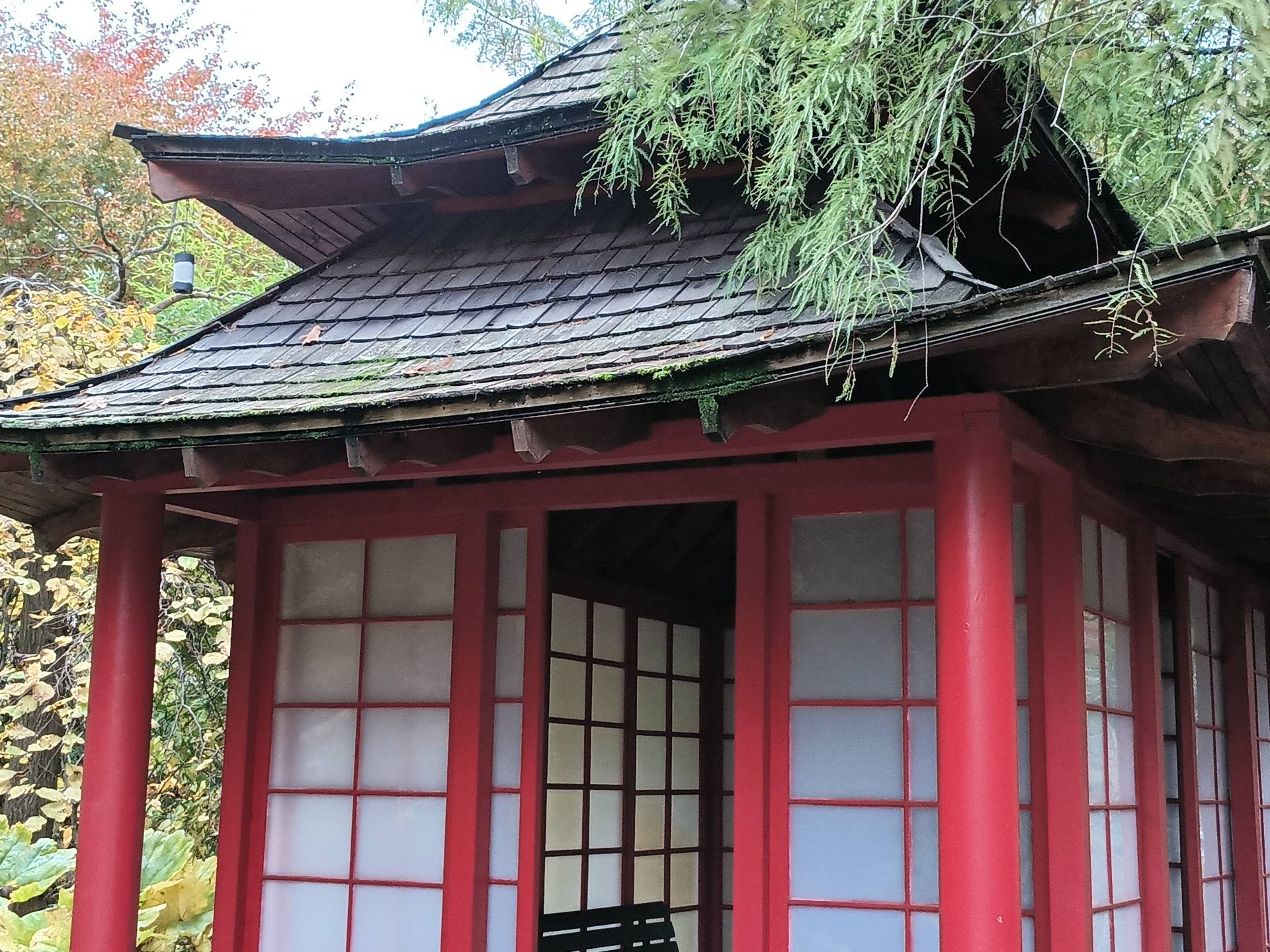 Hammer Energy X2 5G - foto