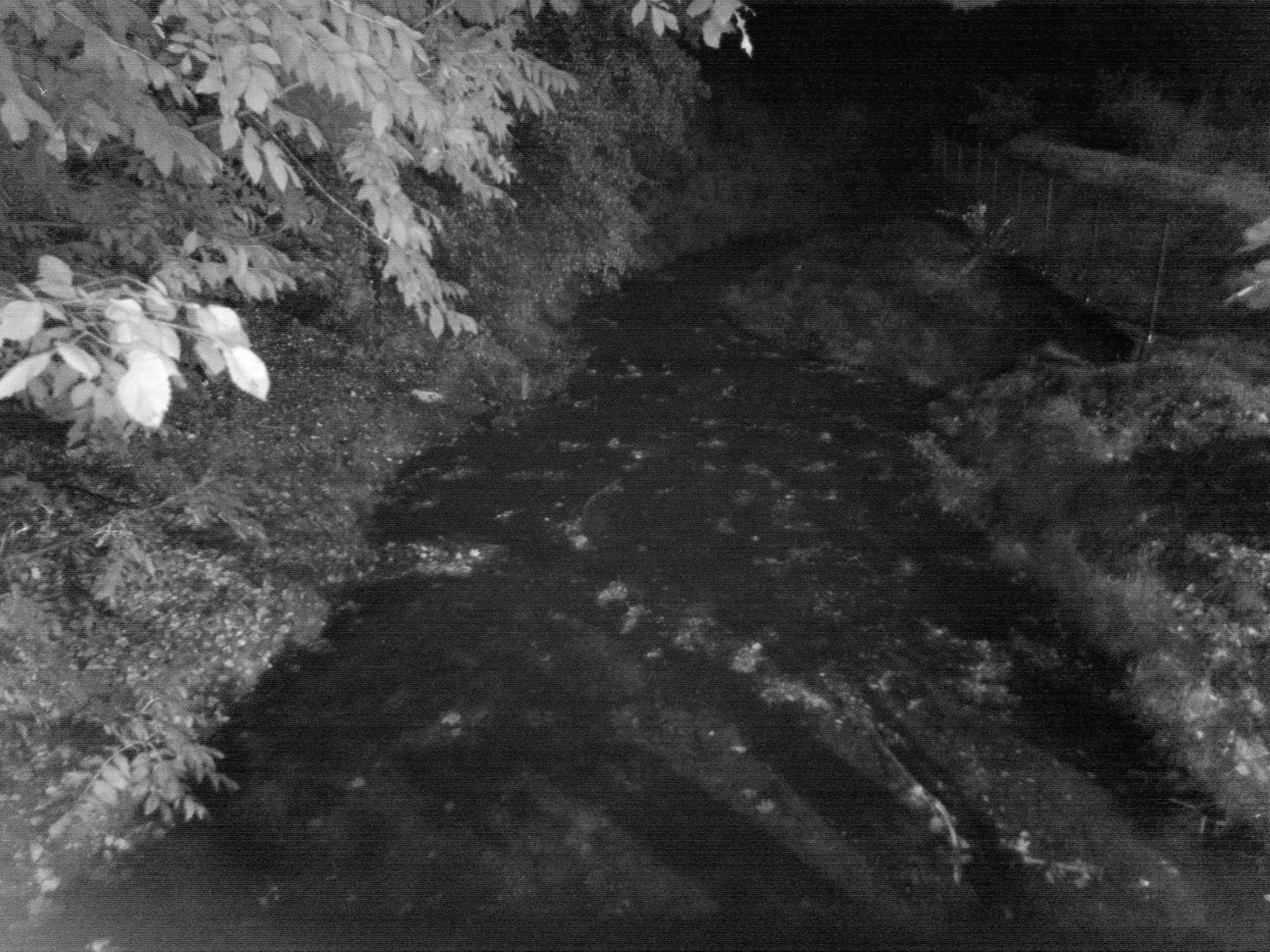 Hammer Energy X2 5G - foto