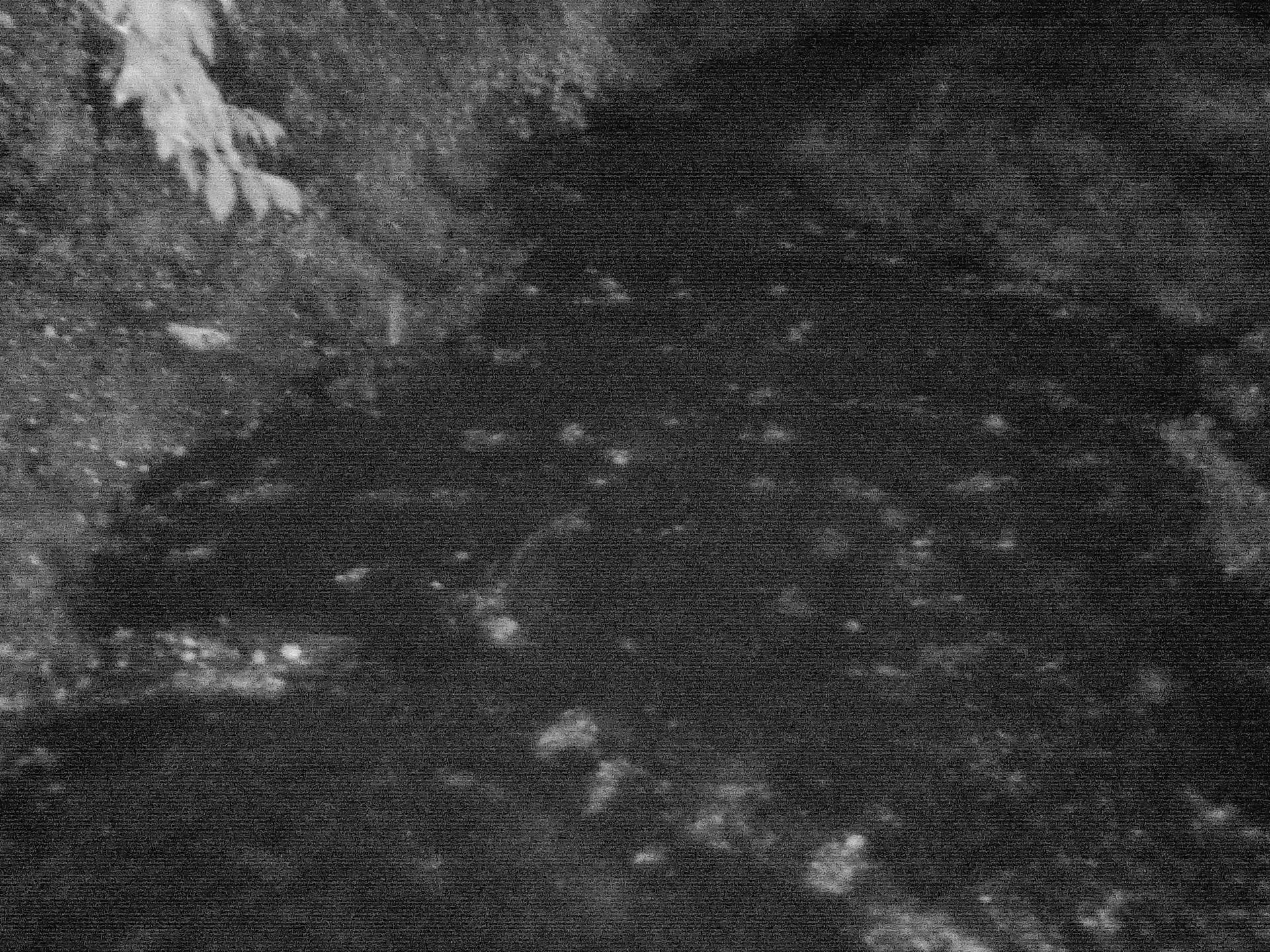 Hammer Energy X2 5G - foto