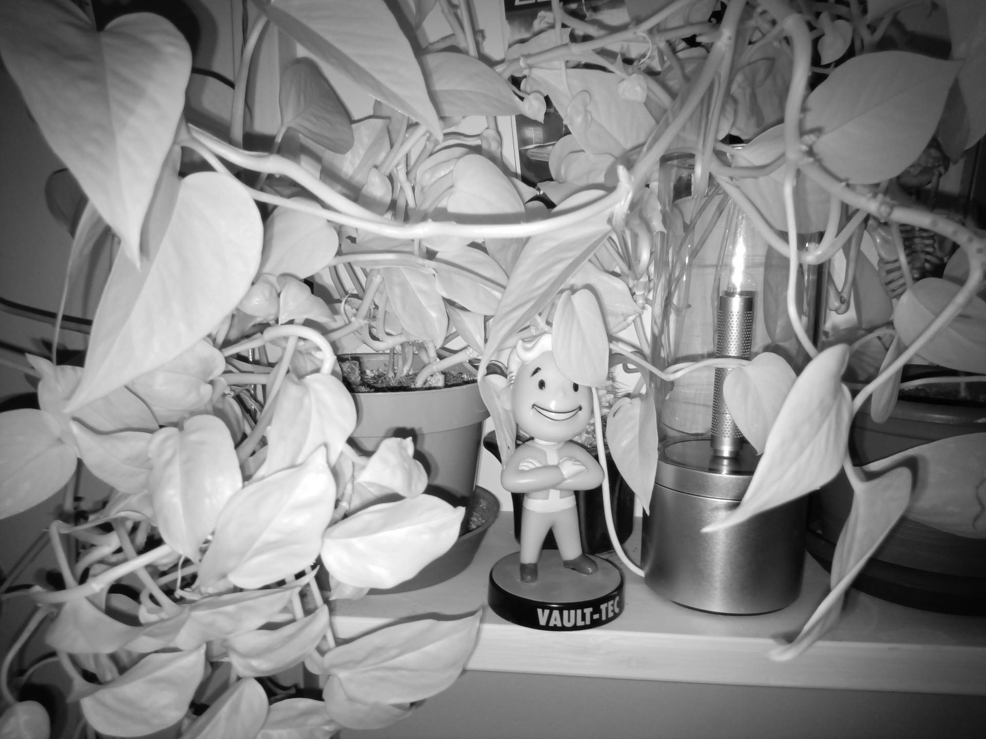 Hammer Energy X2 5G - foto