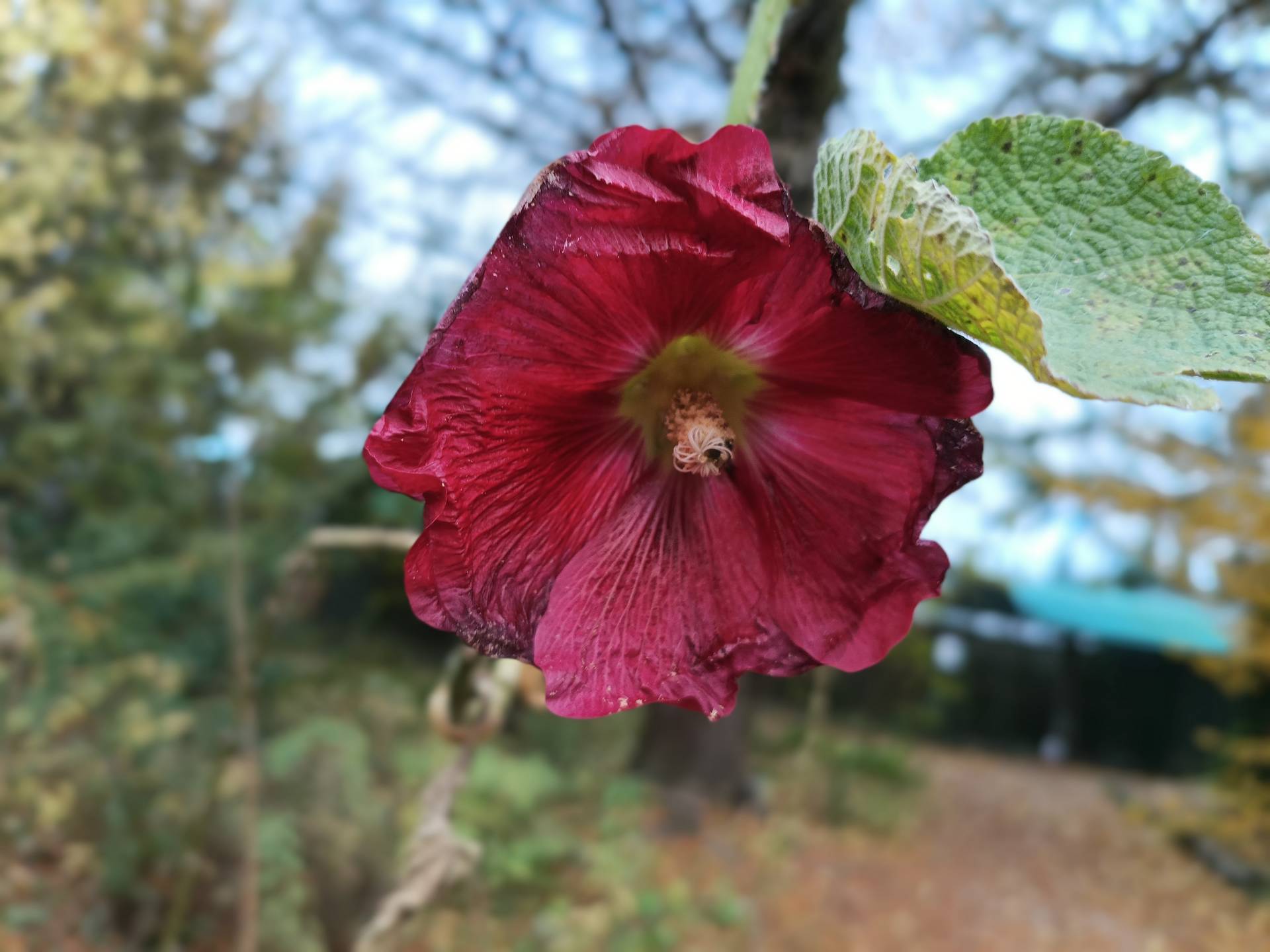 Hammer Energy X2 5G - foto