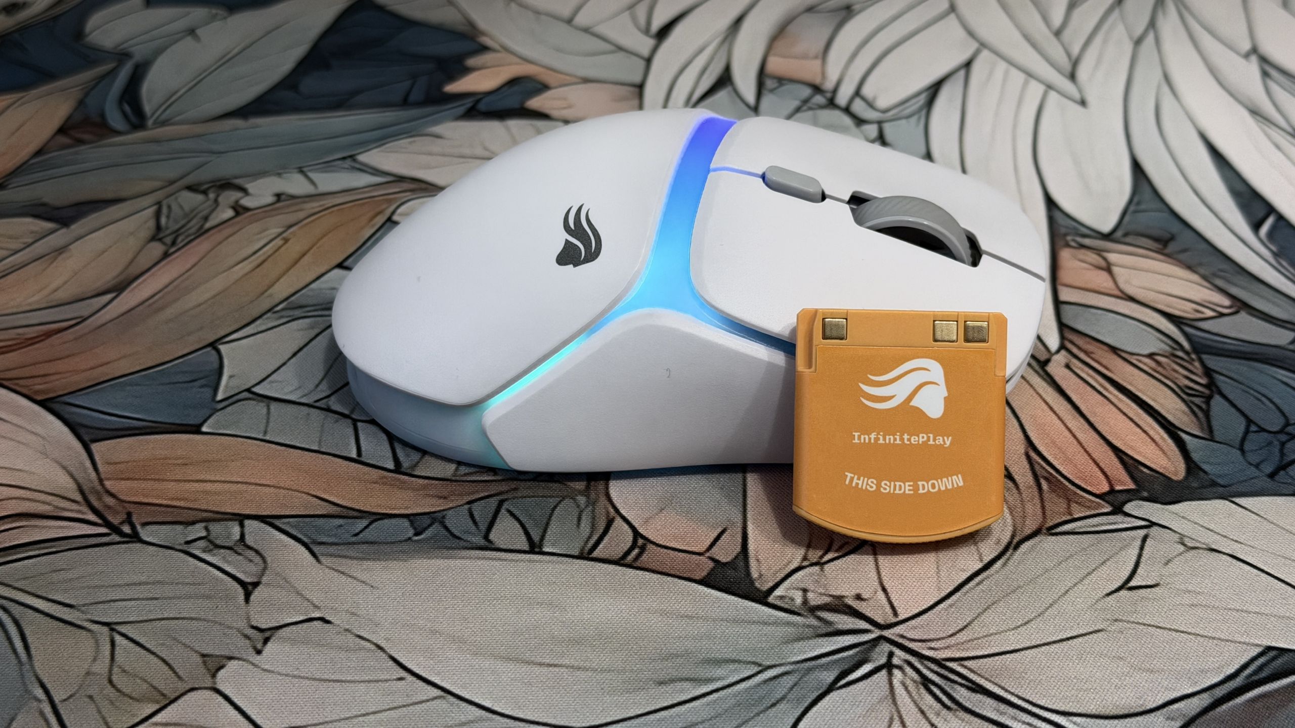 Test Glorious Model D3 Wireless